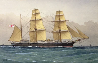 Der wilde Schwan, 1906